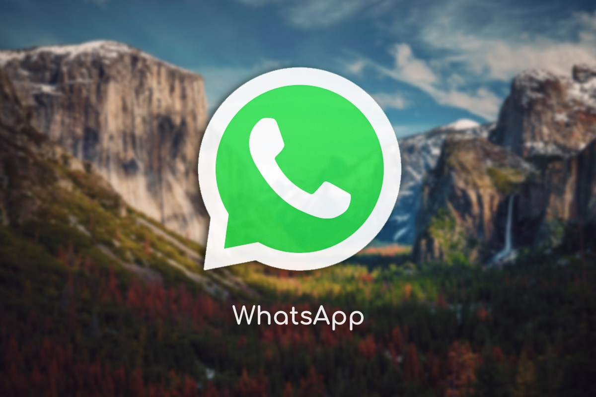 Ứng dụng WhatsApp