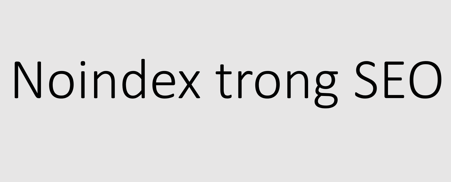 Thuật ngữ noindex khá quen thuộc với nhiều người làm SEO
